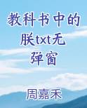 教科书中的朕txt无弹窗小说下载