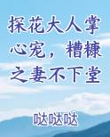 探花大人掌心宠，糟糠之妻不下堂全文免费阅读