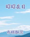 昭昭在目在线阅读小说