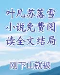 叶凡苏落雪小说免费阅读全文结局
