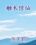 触木惊仙最新章节全文免费阅读